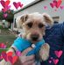 Bruce R. Heaney - Facebook