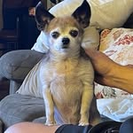 Bruce Heard - @bruceh88 - Instagram