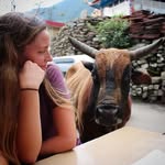 Bruce Heath - @bruceheath62 - Instagram