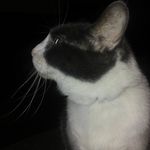 Bruce Heckman - @bruce.heckman.585 - Instagram
