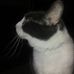 Bruce Heckman - Facebook