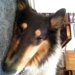 Bruce Hedges - @bruce.hedges - Instagram