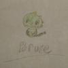 bruce - @brucethe_di.no - TikTok
