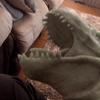 Bruce🦖🦖 - @brucethedino - TikTok