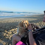Bruce Hedrick - @brucehedrick - Instagram