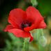 Bruce Heideman - Facebook