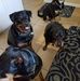 Bruce Heilweil - Facebook