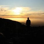 fiddle_the-niddle - @bruce_helmbright - Instagram
