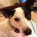 Bruce Helmer - Facebook