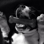 Bruce Helton Bennett - @bruce_onthe_loose - Instagram