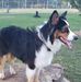 Bruce Helwig - Facebook