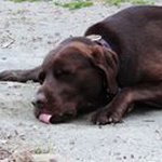 Bruce Hendrickson - @bruce.hendrickson - Instagram