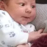 Bruce Henriksen - @bghenriksen - Instagram