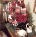 Bruce Hansel - Facebook