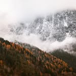 Bruce Herold - @alfolame - Instagram