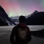 Bruce - @bruce.herries - Instagram