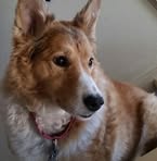 Bruce Herr - Facebook