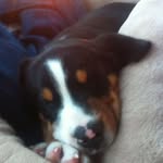 Bruce Herrick - @bruce.herrick.75 - Instagram