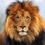 Bruce Herrera - Facebook
