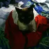 Bruce Herrera - @bruce.herrera3 - TikTok