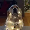 bruceherrera19 - @bruceherrera19 - TikTok