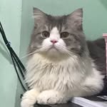 @bruce_hershey02 - Instagram