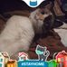 Bruce Hershey - Facebook