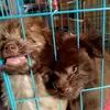 Bruce&Hershey🌷🫰🏻 - @m4244341 - TikTok