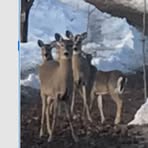 Bruce Herwig - Facebook