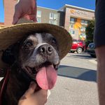 Bruce Hester - @hester__bruce - Instagram
