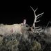 Brice Hudler - Facebook