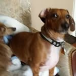 Bruce Hettler - @brucehettler - Instagram