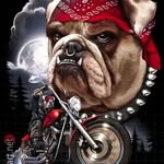 bruce hetzel - @bhetzel65 - Instagram