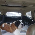 Bruce Hicks - @bruce.hicks.395 - Instagram