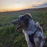 Bruce Hicks - @brucx - Instagram