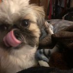 Bruce Higbee - @bruce.higbee - Instagram
