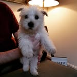 Bruce Bielby-High - @bruce_bielby_high - Instagram