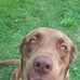 Bruce Hildreth - Facebook