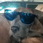 Bruce Banner - @brucebannerhilliard - Instagram