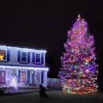 Bruce the Spruce of Hilliard - @brucespruceislit - Instagram