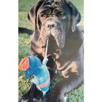 Bruce Hills - @bruce.hills - Instagram