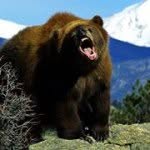Bruce Hobbs - @behobbs73 - Instagram
