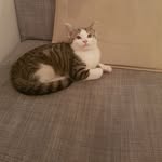 Bruce Hobbs - @brucehobbs1 - Instagram