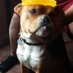 Bruce "Hobbs" Hernendez - @official.bruce_hobbs_hernendez - Instagram