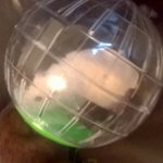 Bruce Hobson - @brucey_awesome100 - Instagram