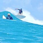 bruce hobson - @junglescaper - Instagram