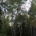 Bruce Adam Holbrook - Facebook