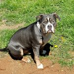 Bruce Holcomb - @in.the.life.of.bruce - Instagram