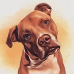 Bruce Holcomb - @bruce.theholc - Instagram