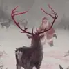Brucejohnhopper - @brucejohnhopper - TikTok